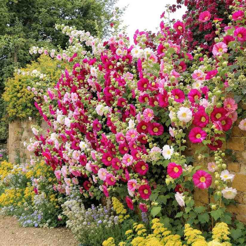 Front Door with Flowers  garden