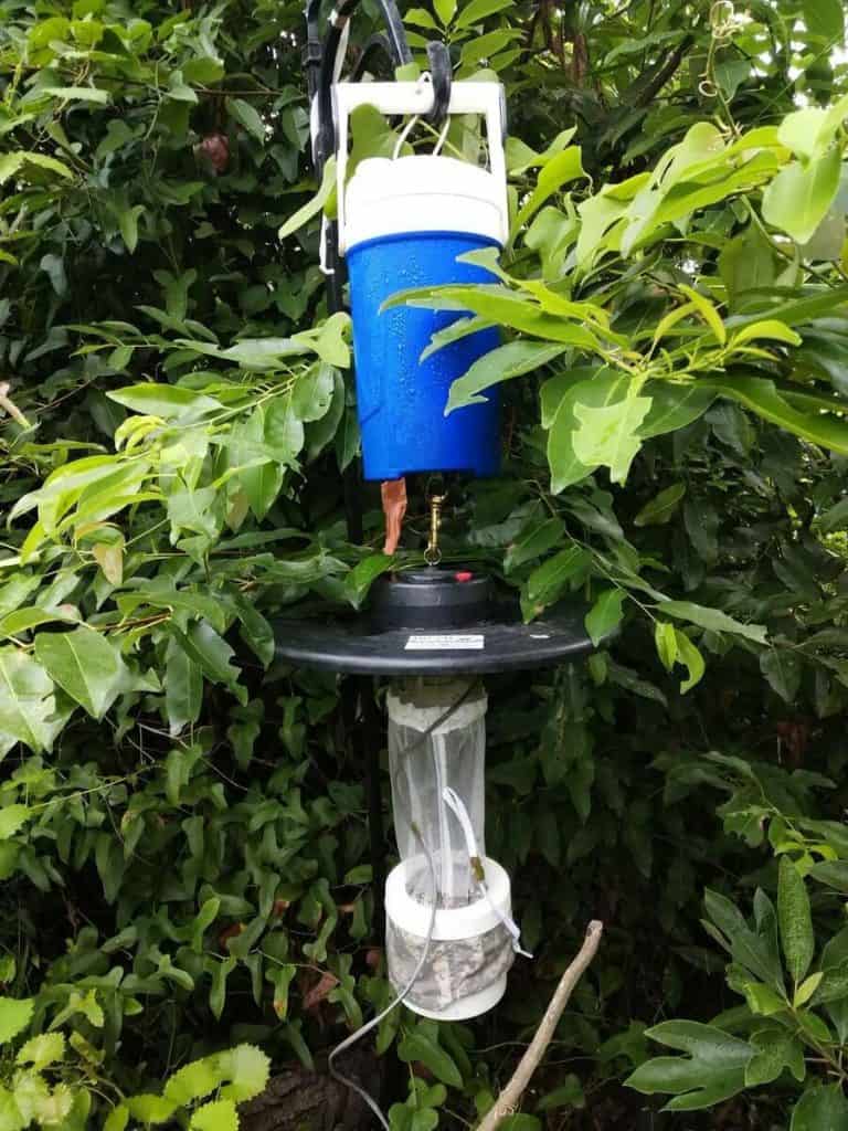 CO2 traps for mosquitos